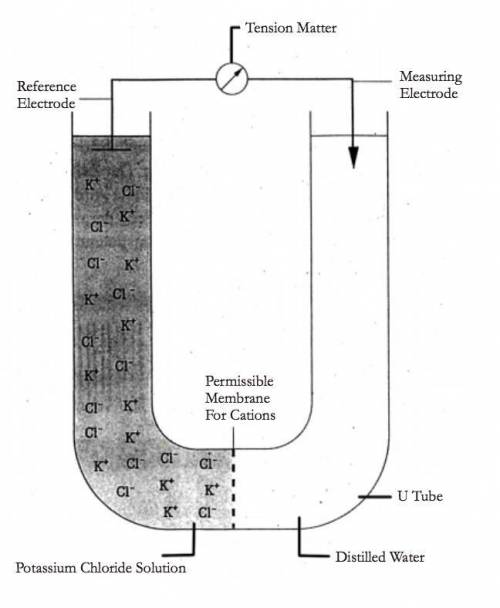 What voltage does the meter display  a) At the beginning of the experiment  b) after about 10 minut