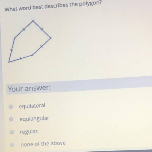 What word best describes this polygon