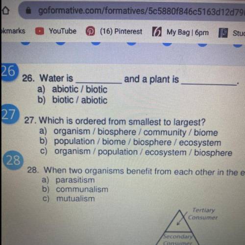 Can u pls answer number 27???