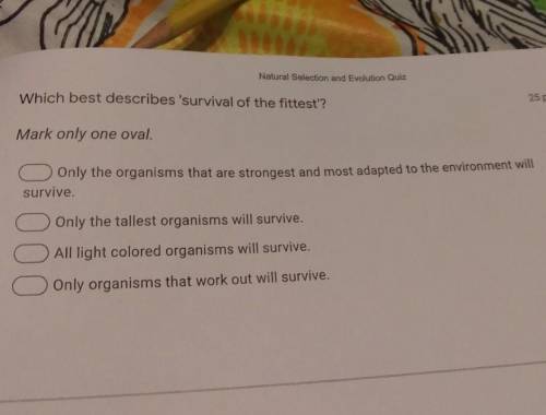 Which Best Describes survival of the fittest?