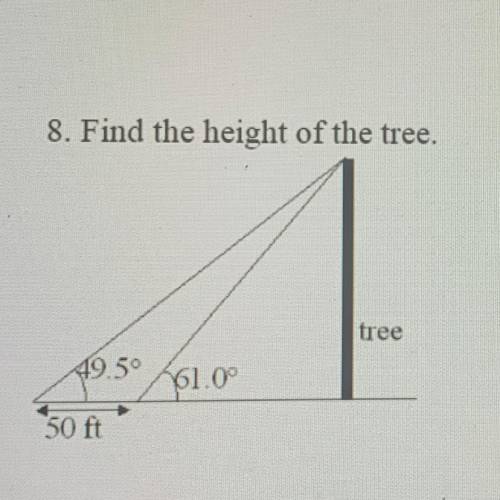 Find the height of the tree. Show steps