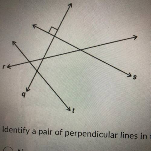 Identify a pair of perpendicular lines in the given figure. HELPPP I NEED TO PASS!