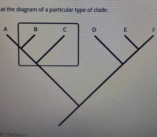 Which of the following optlons correctly indicates the type of clade llustrated and its use, or lac