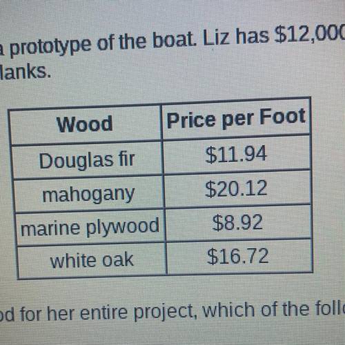 Liz has designed a sailboat. She wants to build a prototype of the boat. Liz has $12,000 to spend o