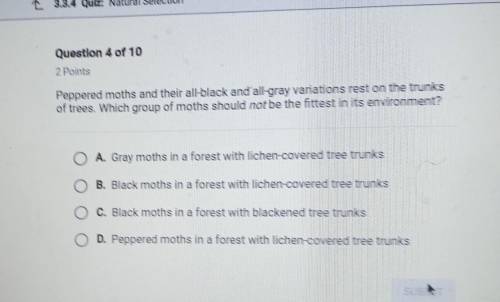 Question 4 of 10

2 PointsPeppered moths and their all black and all gray variations rest on the t
