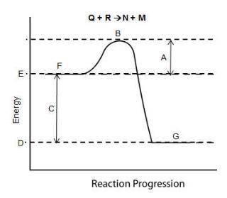 PLEASE HELP!!! Consider the reaction pathway graph below. Image Which letter represents the activat