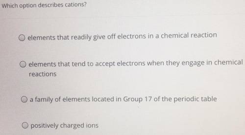 Which option describes cations?