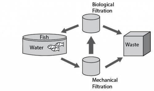 Will mark brainliest

The figure below shows four components of an aquaculture system. The compone
