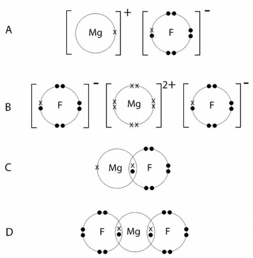 Magnesium reacts with fluorine to form magnesium fluoride. Which diagram shows the correct arrangem