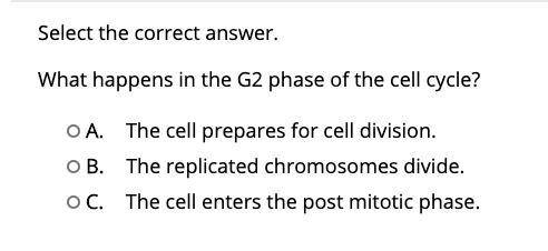 What happens in the G2 phase of the cell cycle?