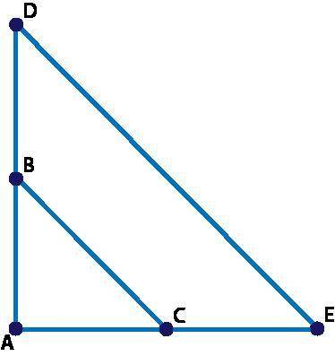 PLEASE HELP ASAP 90 POINTS !! If angle A is congruent to itself by the Reflexive Property, which tr