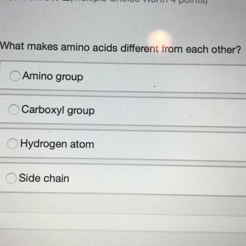 What makes amino acids different from each other?
