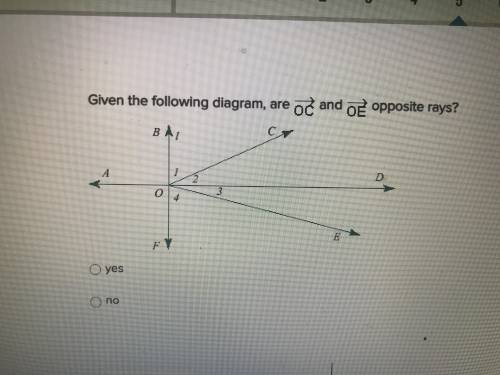 Given the following diagram, are OC and OE opposite rays ?