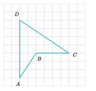 Agustina made a scaled copy of the following quadrilateral. She used a scale factor less than 1. Wh
