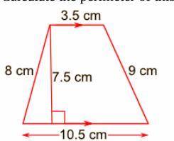Calculate the perimeter of this trapezoid