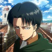 What is a (real life) braided version of this Anime Character’s(Levi Ackerman) hair? (Answer has to