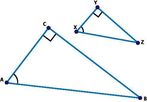 Triangle XYZ was dilated by a scale factor of 2 to create triangle ACB and cos ∠X = 2 and 5 tenths