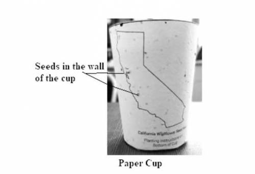 The coffee cup shown fig 3 is made from special paper containing wildflower seeds. After drinking c