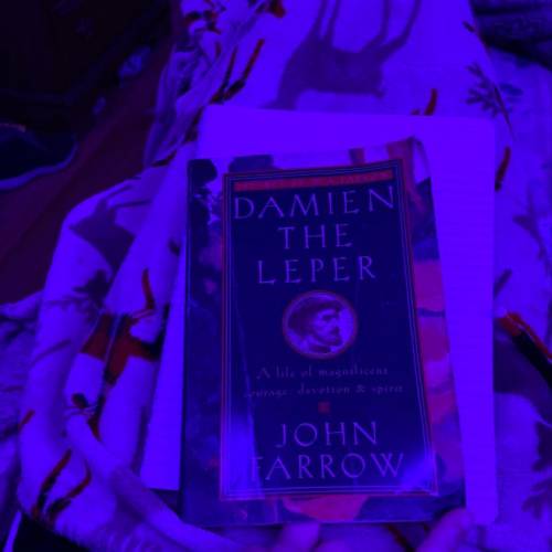 Damien the leper chapter 1 summary?