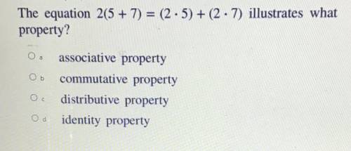 Algebra isn’t my best subject, please help