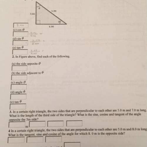 Help with these questions i need them