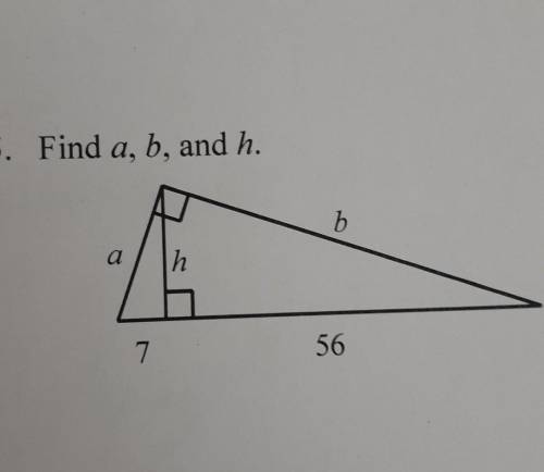 Can someone pls help me? I don't understand how to do this. Would really appreciate it!