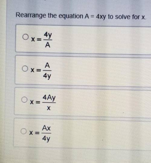 Help me please with this question