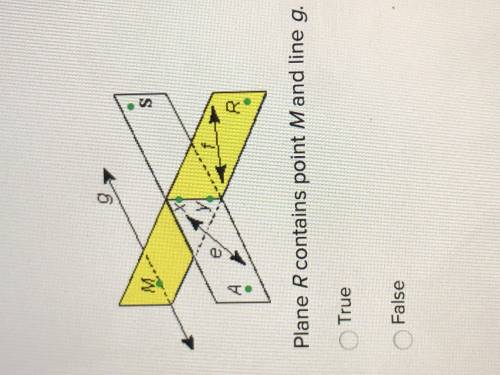 Plane R contains point M and line g. True or False