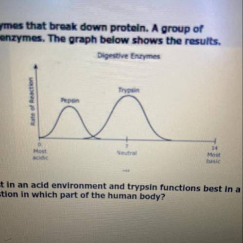 Pepsin and trypsin are two of the digestive enzymes that break down protein. A group of

students