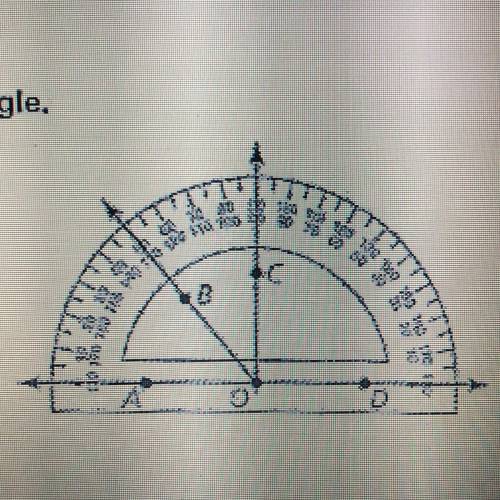 In Exercises 1-4, find the angle measure. Then classify the angle.
1. m
2. m
3. m
4. m