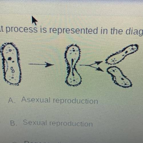 What process is represented in the diagram below?

A. Asexual reproduction 
B. Sexual reproduction