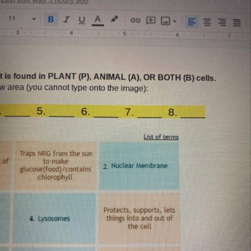 For each numbered item determine if it is found in Plant, Animal, or Both Cells.