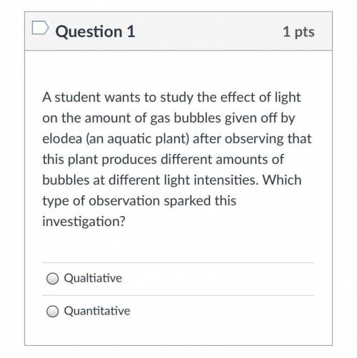 What is the answer to question 1?