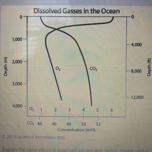 A chemist is studying dissolved gases in the ocean. She graphs her data as shown below.

Explain t