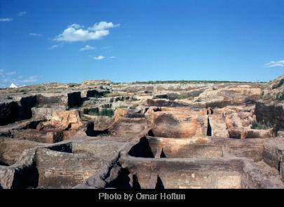 The remains of walls of many buildings of a city.

This is a picture of the Catal Huyuk archaeolog