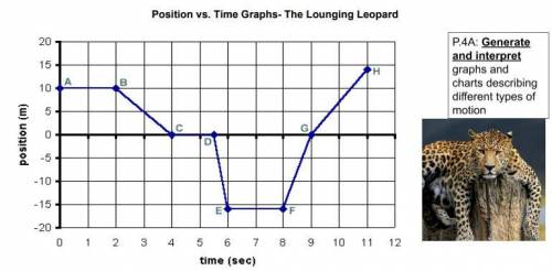 At what time interval is the leopard at its maximum displacement?

a) 2 - 4 seconds
b) 5.5 - 6 sec