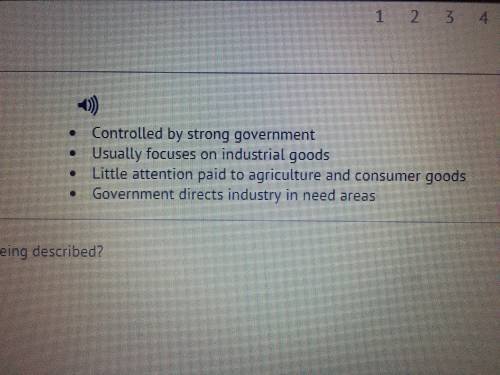 What economic system is being described?