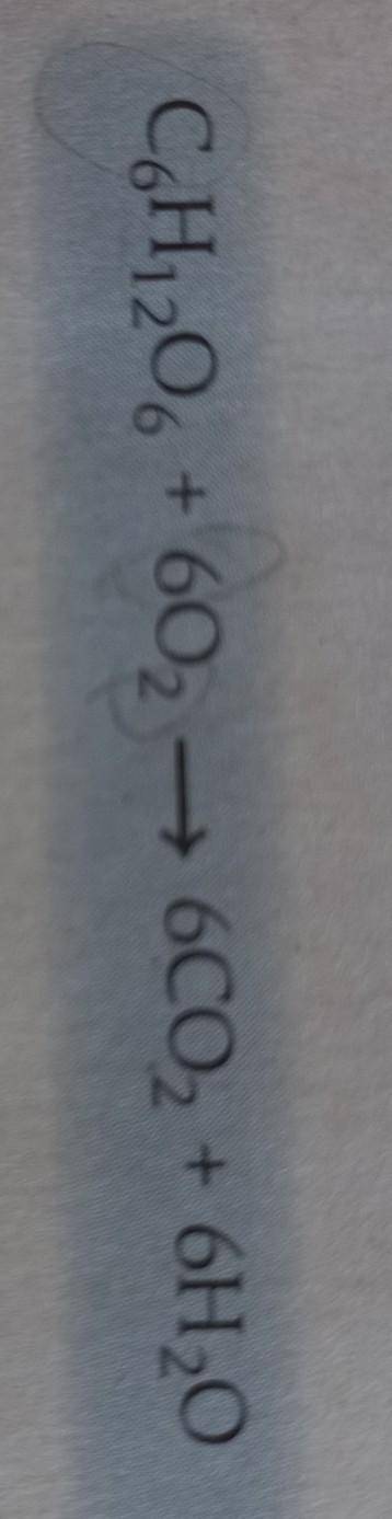 Please explain this equation for me Answer and I will give you brainiliest