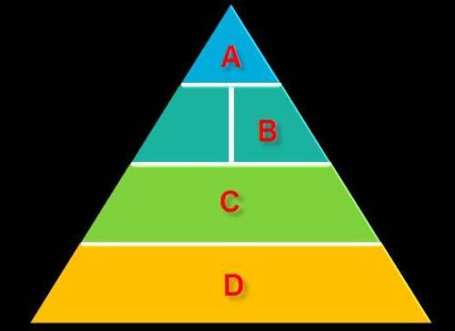 Where on the physical activity pyramid do sedentary activities belong?

The Physical Activity Pyra