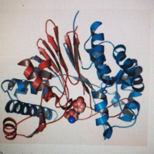 What type of structure is this?
1. Carbohydrate
2. Protein
3. Nucleic Acid
4. Lipid