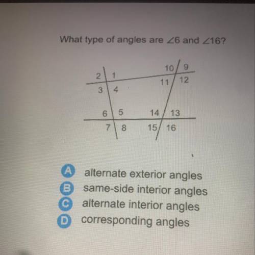 Please help i don’t get angles