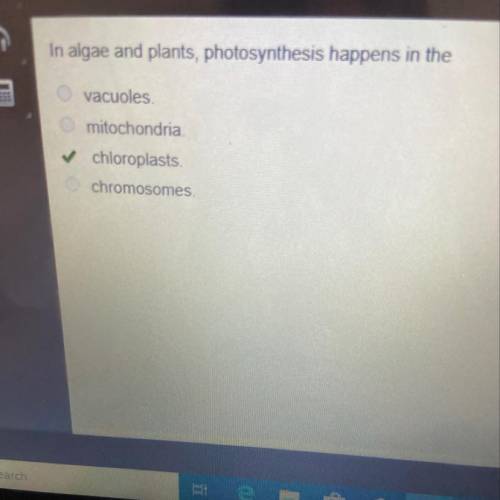 In algae and plants, photosynthesis happens in the

vacuoles.
mitochondria
chloroplasts.
chromosom