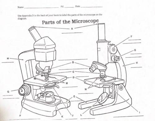 Label the parts of the microscope :-)