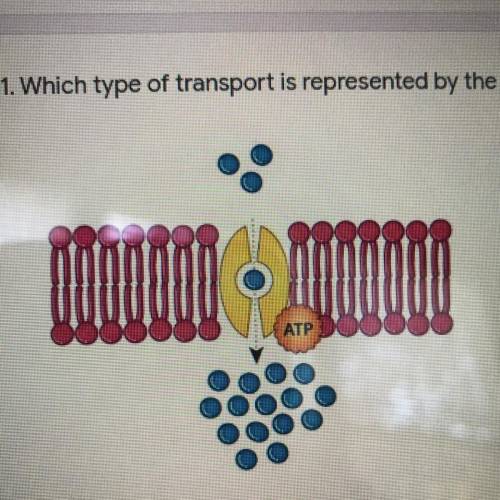 1. Which type of transport is represented by the diagram?*

ATP
Passive transport
Active transport