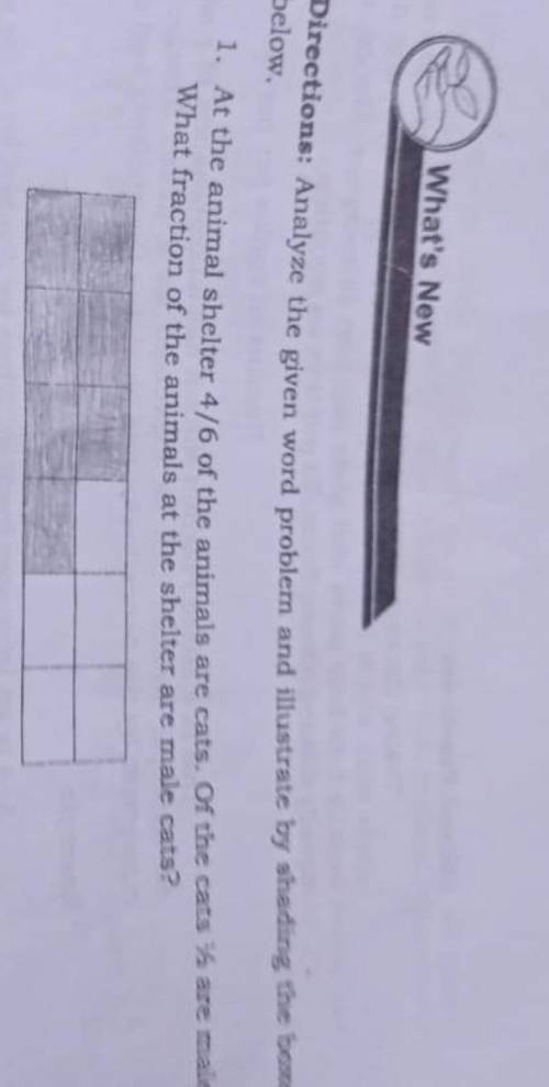 What is the answer on the picture?