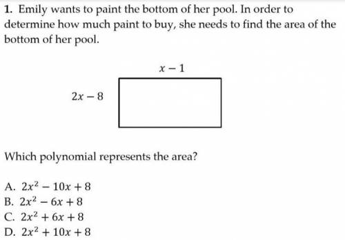 Which polynomial represents the area?