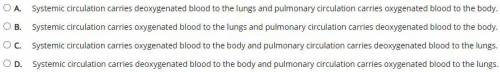 What is a difference between systemic and pulmonary circulation?