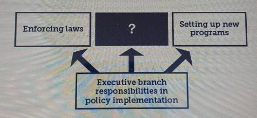 Which option best completes the diagram?

A. Revising the policy if necessaryB. Writing new regula