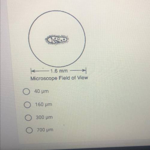 Base your answer to the following question on the diagram below, which

represents a paramecium ob