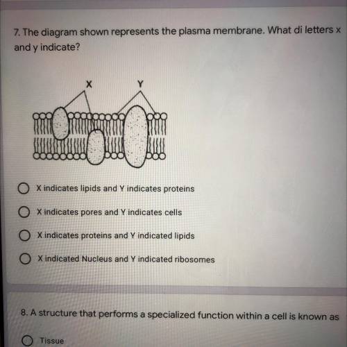 Please help with number 7 thank you! 30 points